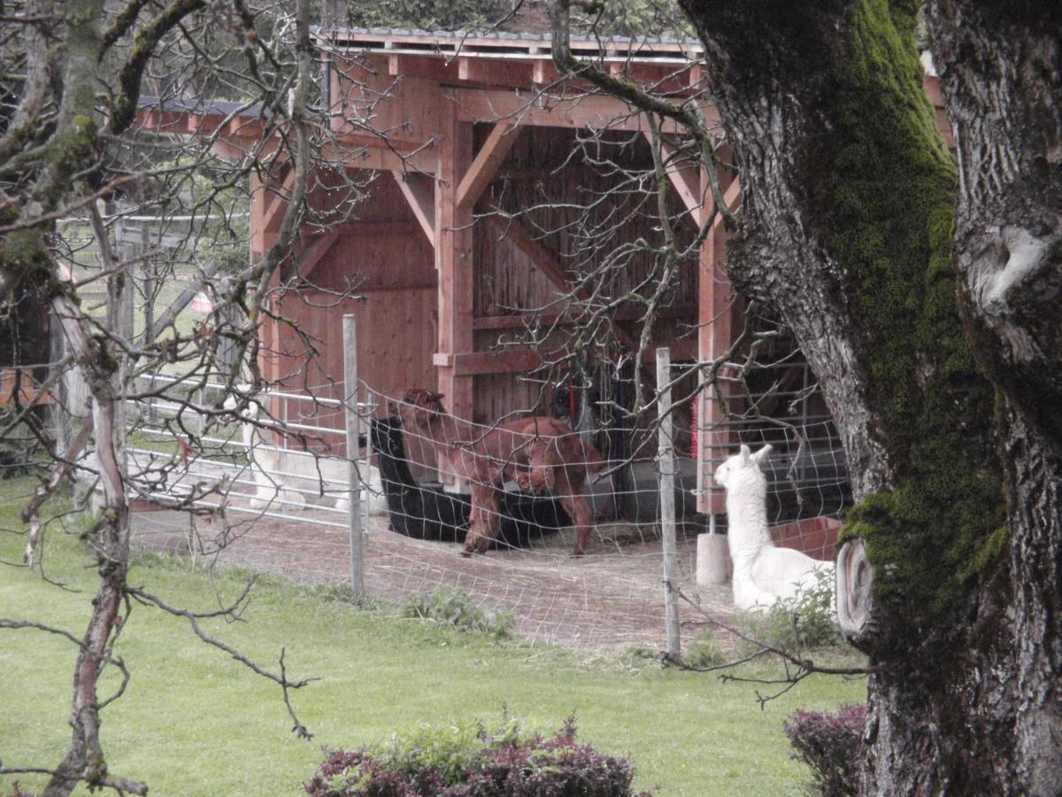 Pension Alpenhaus Vorderstoder Dış mekan fotoğraf