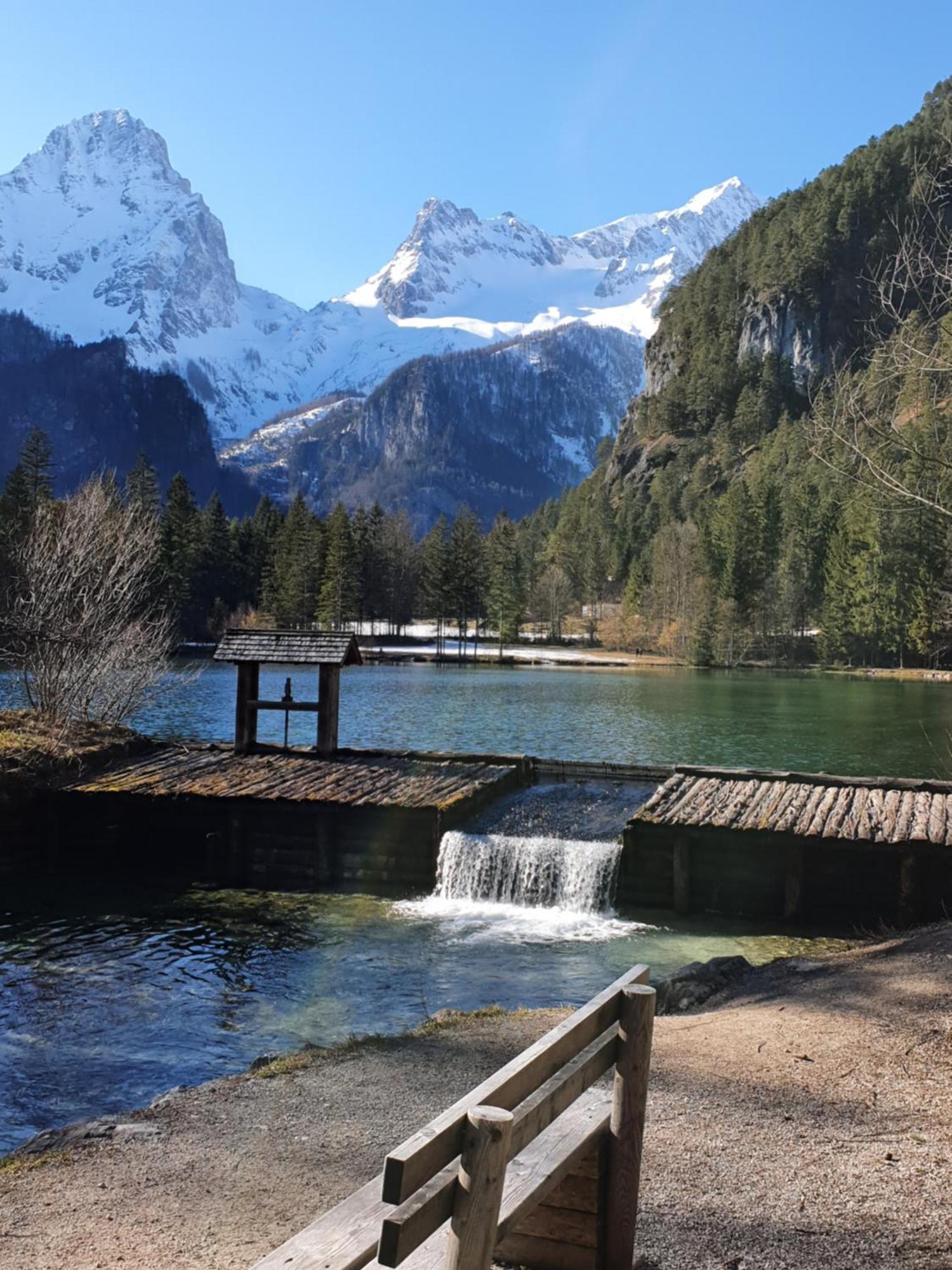 Pension Alpenhaus Vorderstoder Dış mekan fotoğraf