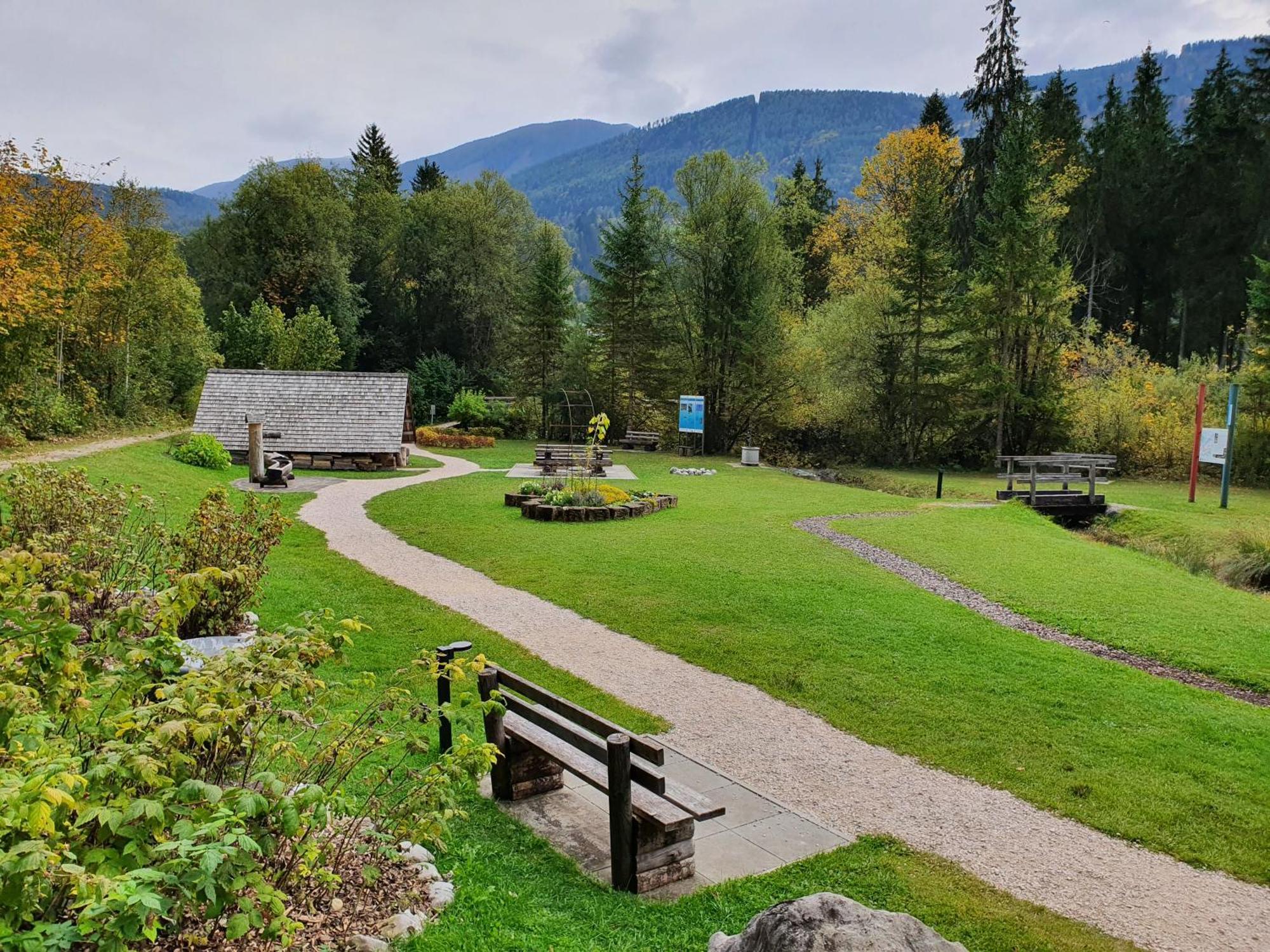 Pension Alpenhaus Vorderstoder Dış mekan fotoğraf