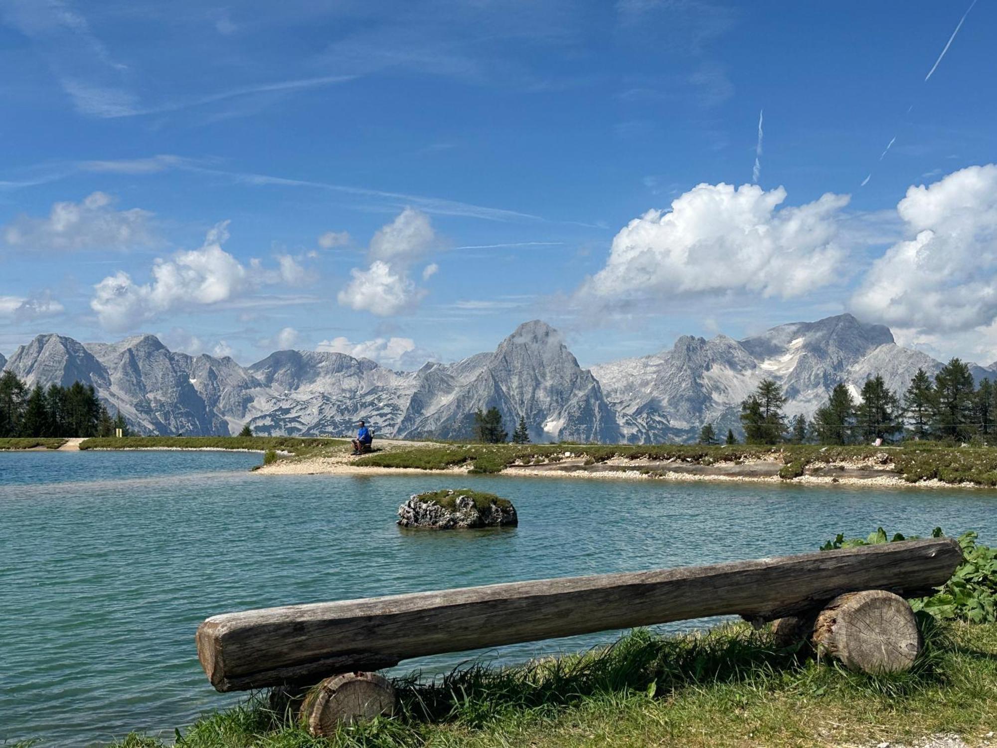 Pension Alpenhaus Vorderstoder Dış mekan fotoğraf