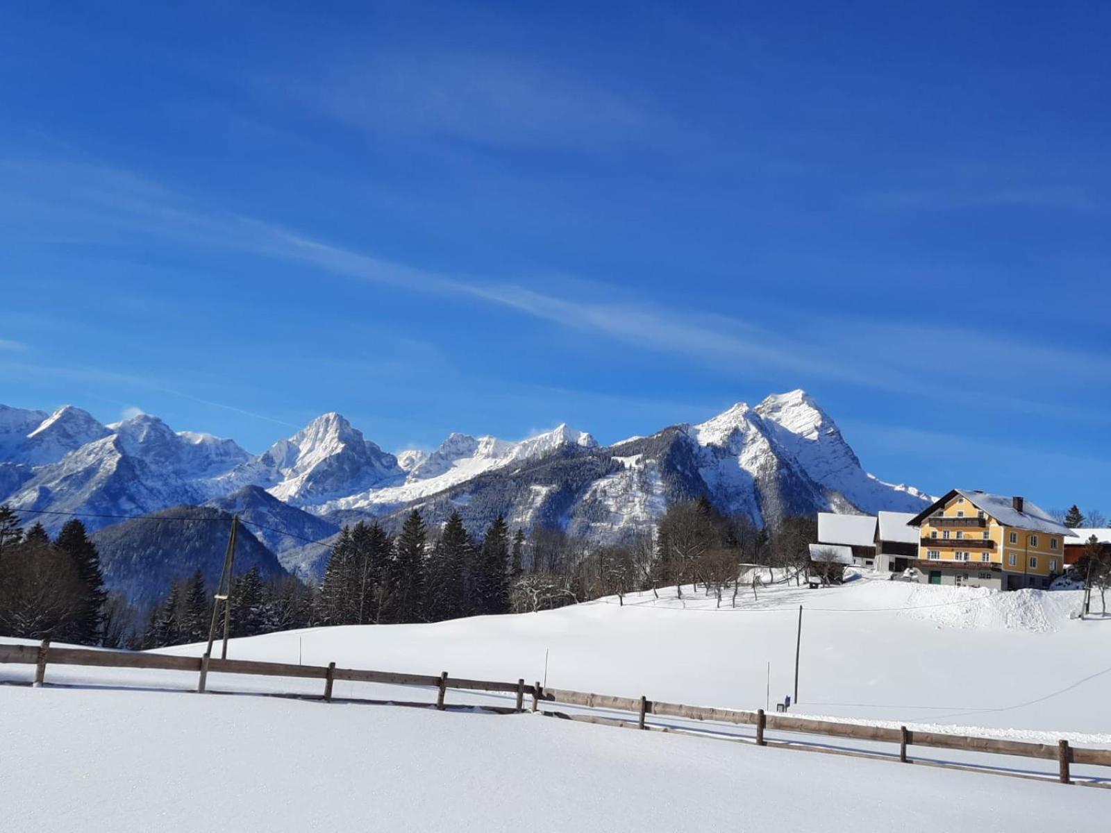 Pension Alpenhaus Vorderstoder Dış mekan fotoğraf