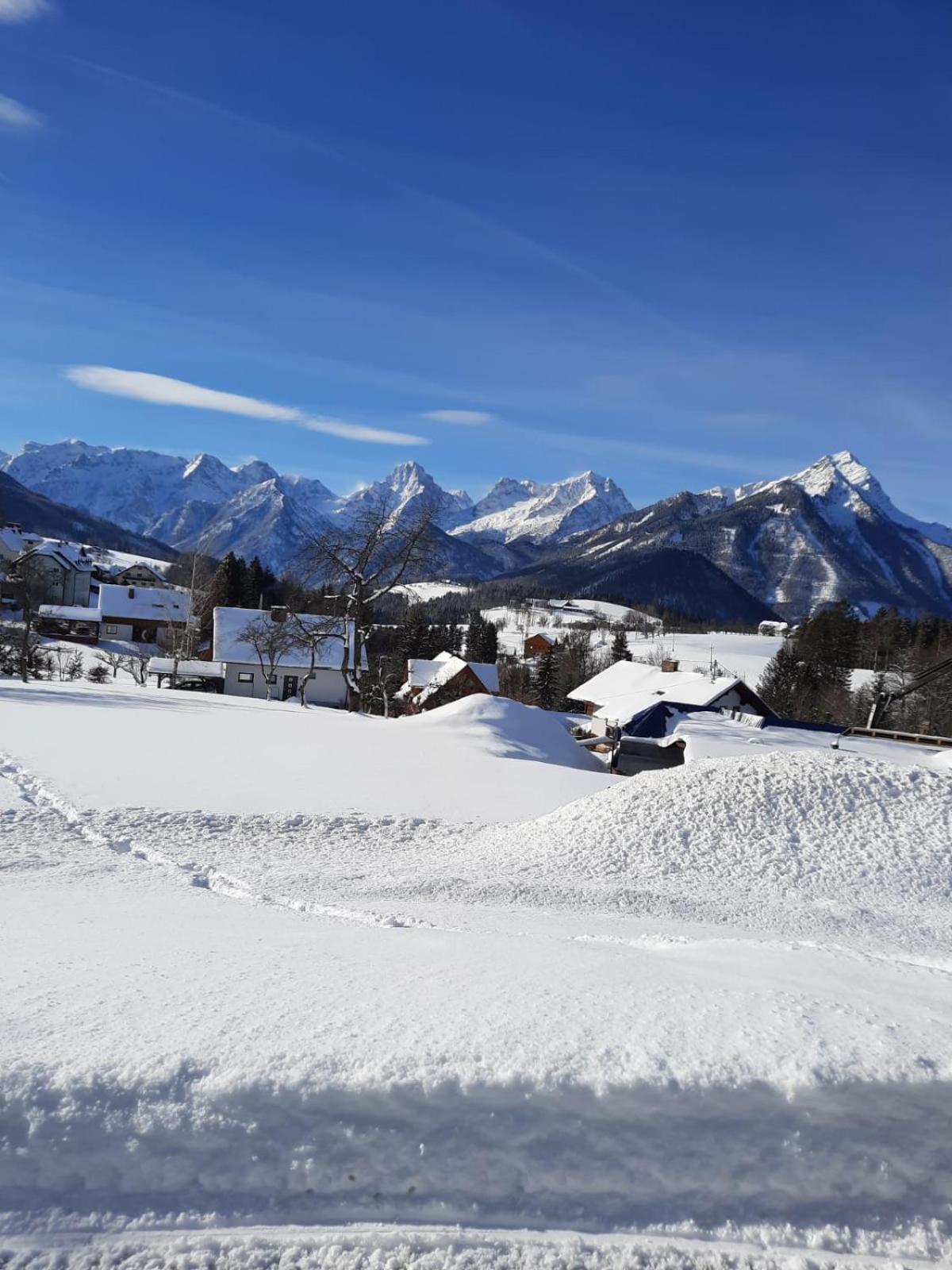 Pension Alpenhaus Vorderstoder Dış mekan fotoğraf