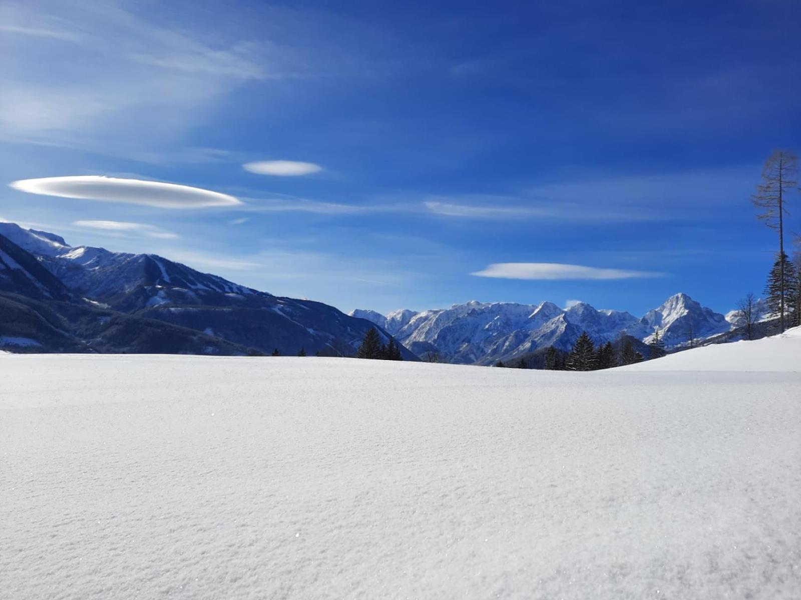 Pension Alpenhaus Vorderstoder Dış mekan fotoğraf