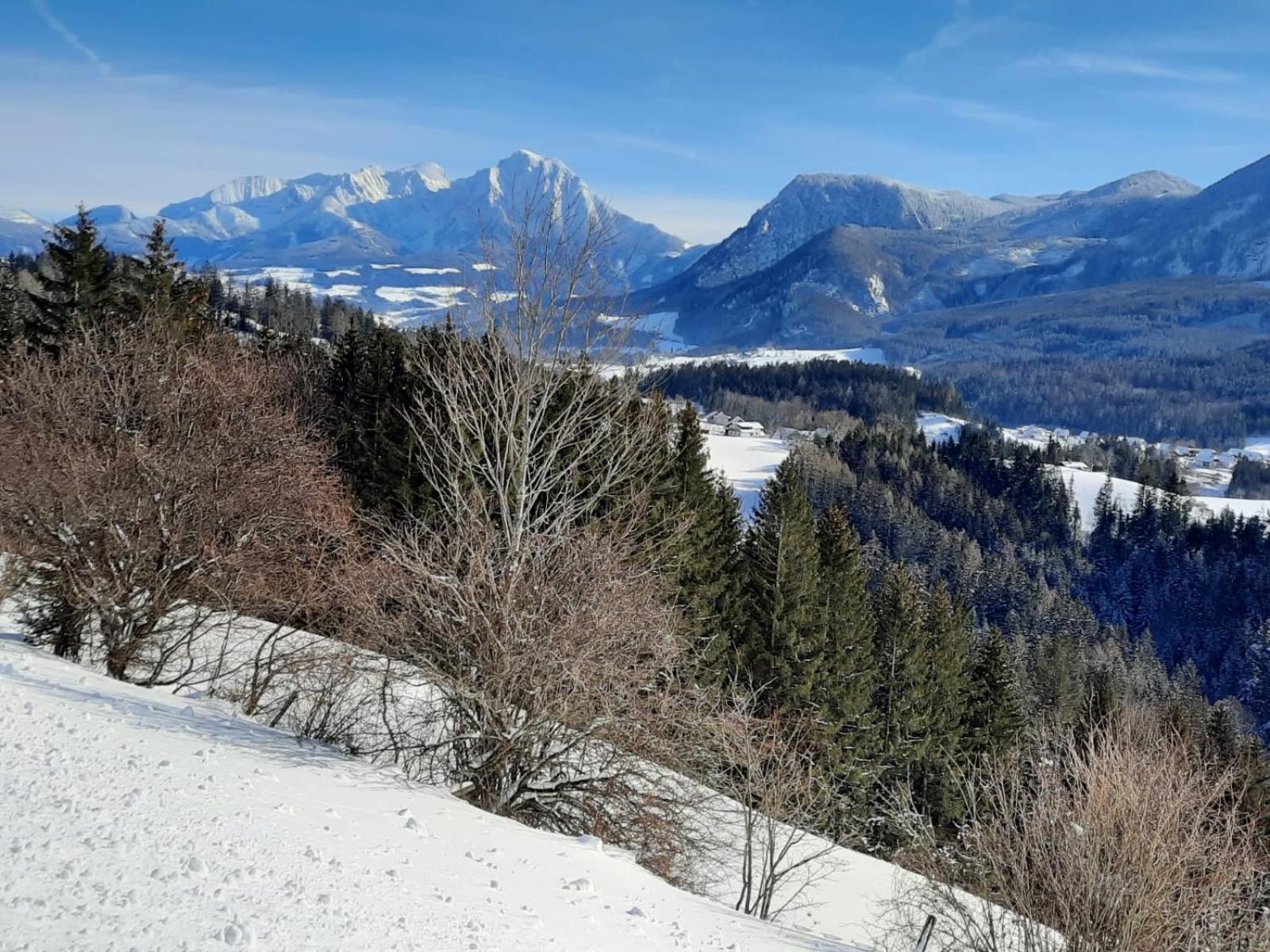 Pension Alpenhaus Vorderstoder Dış mekan fotoğraf